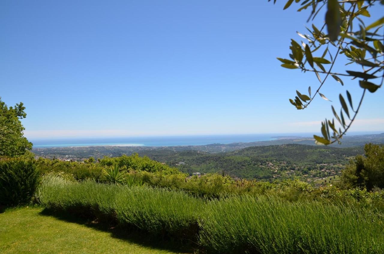 Gite Les Citronniers Vence Buitenkant foto