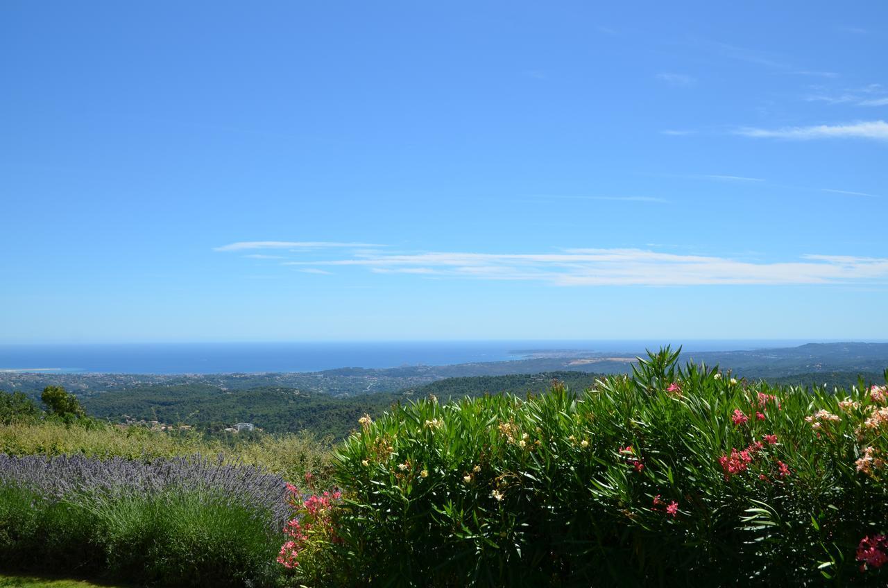 Gite Les Citronniers Vence Buitenkant foto